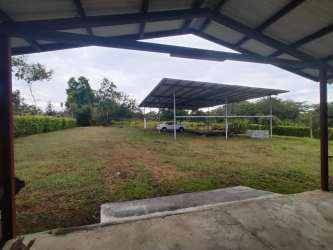 Spacious grassy fenced lot with open metal warehouse shelter near Plaza Terronal David Panama
