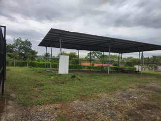 Warehouse / Commercial Lot for Rent in David - 0 bedrooms