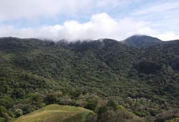 Dense rainforest canopy covering mountain terrain with open skies Panama eco-property