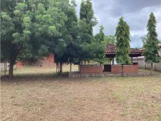 Enclosed green yard with trees on residential plot in Chitré Panama
