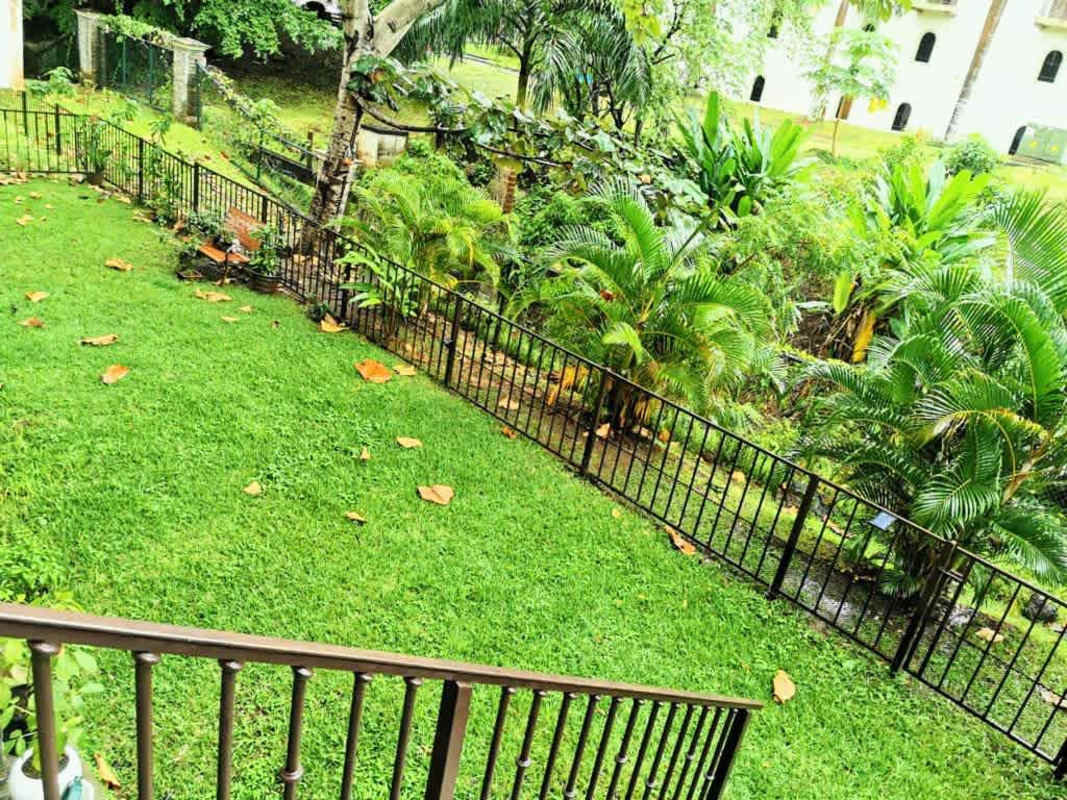 Lush tropical garden private yard Embassy Club luxury condo Panama