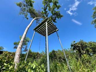 Rustic elevated wooden platform among trees overlooking flat Chiriquí farmland