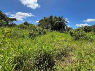 Land / Lot for Sale in Alanje San Lorenzo Border - 0 bedrooms
