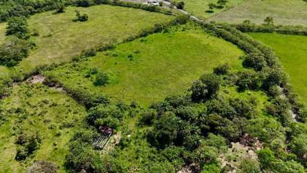 Aerial view over large flat farm land with vegetation in Santo Tomas Chiriquí Panama