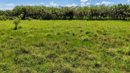 Wide grassy empty farmland bordered by tropical trees in Chiriquí Panama