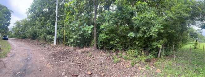 Expansive eco property with dirt road and lush forest canopy in Chame District Panama