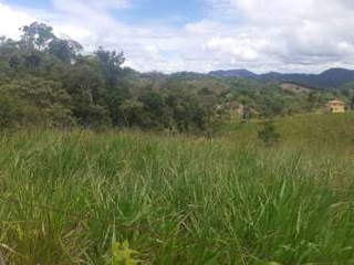 Land / Farm for Sale in Capira - 0 bedrooms