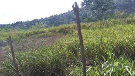 Grassy rural pasture land with fencing hilly terrain in Potrero Grande Panama Oeste