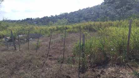 Flat countryside lot with natural vegetation and makeshift fence in Potrero Grande La Chorrera Panama