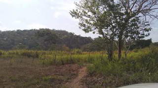 Farm Land for Sale in Santa Rita - 0 bedrooms