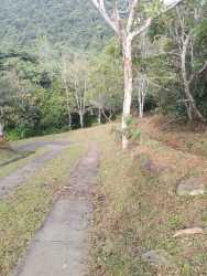 Open grassy hillside with scattered trees overlooking Pacific Ocean and mountain range near Chicá Panama