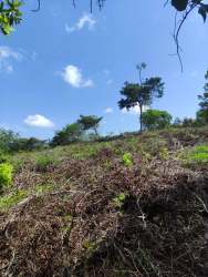 Vacant land with trees, blue sky ready for development in La Mitra Panama