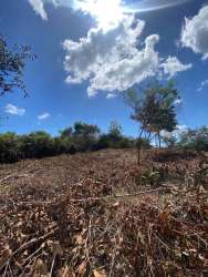 Open build-ready 1000m2 lot with trees and blue skies in La Chorrera