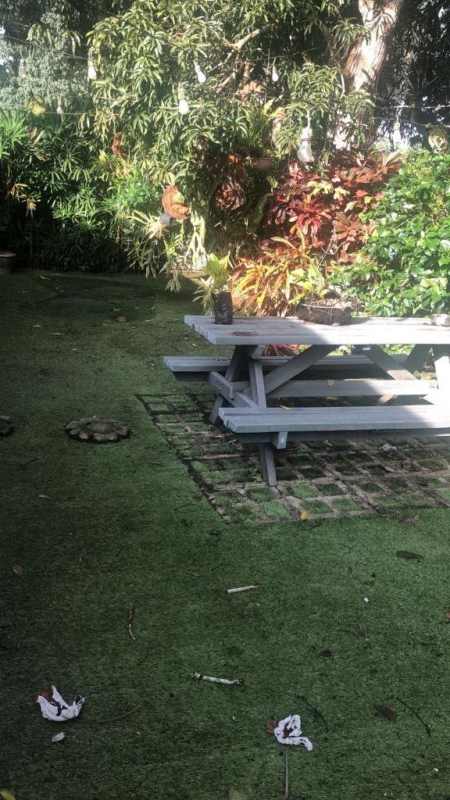 Private courtyard with artificial grass, large window, tropical plants Llanos de Curundu Clayton Panama