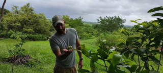 Land for Sale in Canas - 0 bedrooms