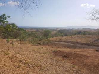 Banana trees and lush greenery garden on development land near Playa Venao Panama