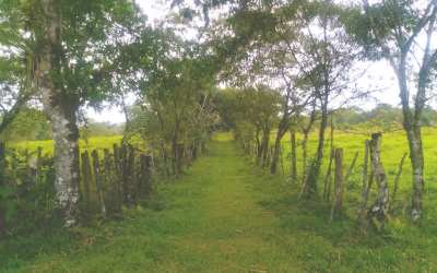 Mountain farmland panoramic landscape Cordillera Tierras Altas region Panama