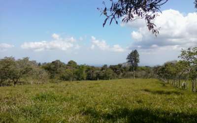 Green pasture and livestock farmland Cordillera Tierras Altas Panama for sale