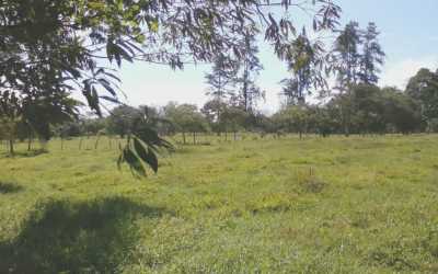 2 bedroom 1 bathroom farm house with terrace on 6.5 hectares Cordillera Panama