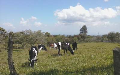 Fertile flat farmland with mountain views Cordillera Tierras Altas Panama