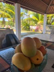 Sandy Pacific beach sunset view near Coronado and Las Lajas Panama