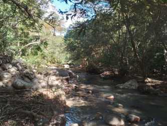 Scenic view of wooded creek area in countryside San Carlos Panama property