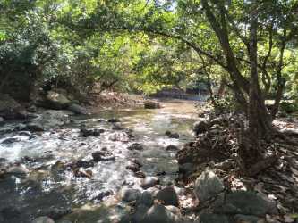 Natural creek with large rocks and tree canopy on Panama farm land in San Carlos