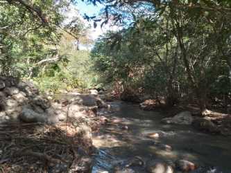 Protected natural environment with river, trees and greenery on large rural land in Panama