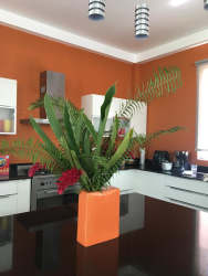 Private swimming pool with white cabana, lush gardens at Santa Clara estate Panama