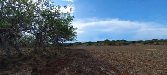 Scenic countryside open farmland clear view with trees Los Santos Panama