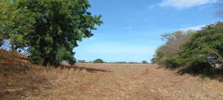 Land for Sale in Tonosi - 0 bedrooms