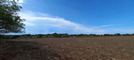 Big empty land lot surrounded by natural vegetation rural Los Santos Panama