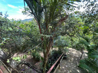 Bedroom with AC unit, ceiling fan, double beds and tiled floor in La Chorrera home for sale