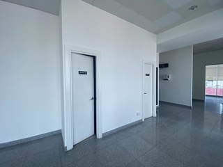 Commercial Office for Rent in Bella Vista - 0 bedrooms