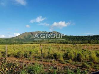 Expansive flat land with mountain in background ideal for development or agriculture