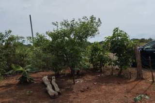 Land for Sale in El Limón - 0 bedrooms