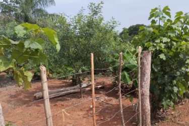 Rustic countryside fenced land with natural greenery Pedasí Panama
