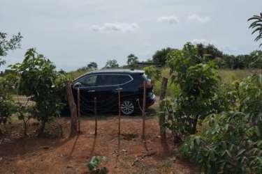 Garden land with planted saplings and SUV vehicle on countryside plot Pedasí Panama