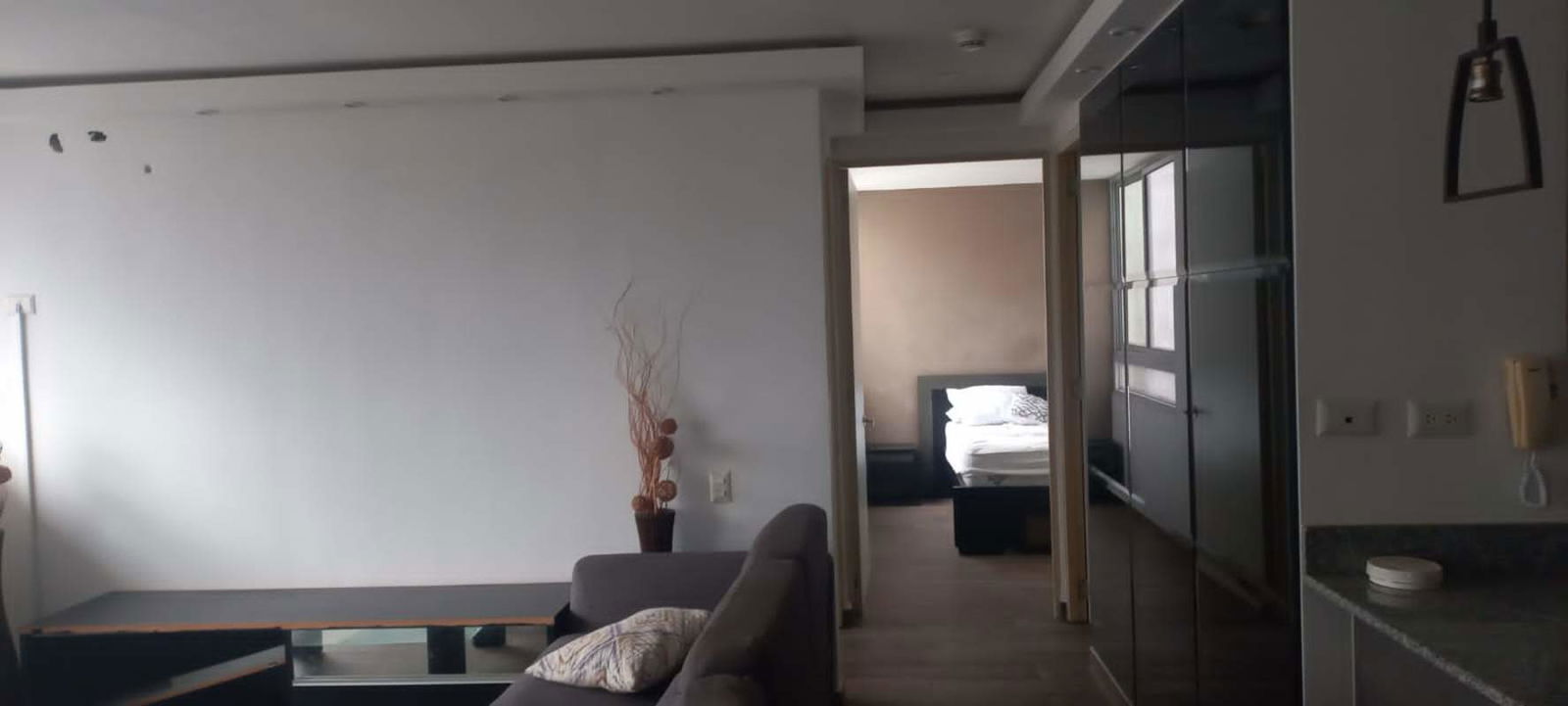 Living room with gray sofa and view of bedroom space PH Aviñon Panama