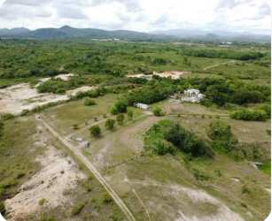 Aerial landscape of countryside with scattered trees distant mountains Penonomé Panama