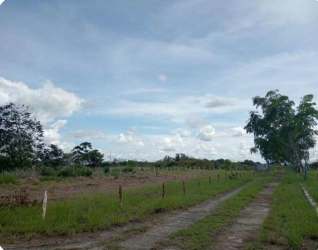 Open rural landscape with dirt road, scattered trees clear sky Penonomé Coclé