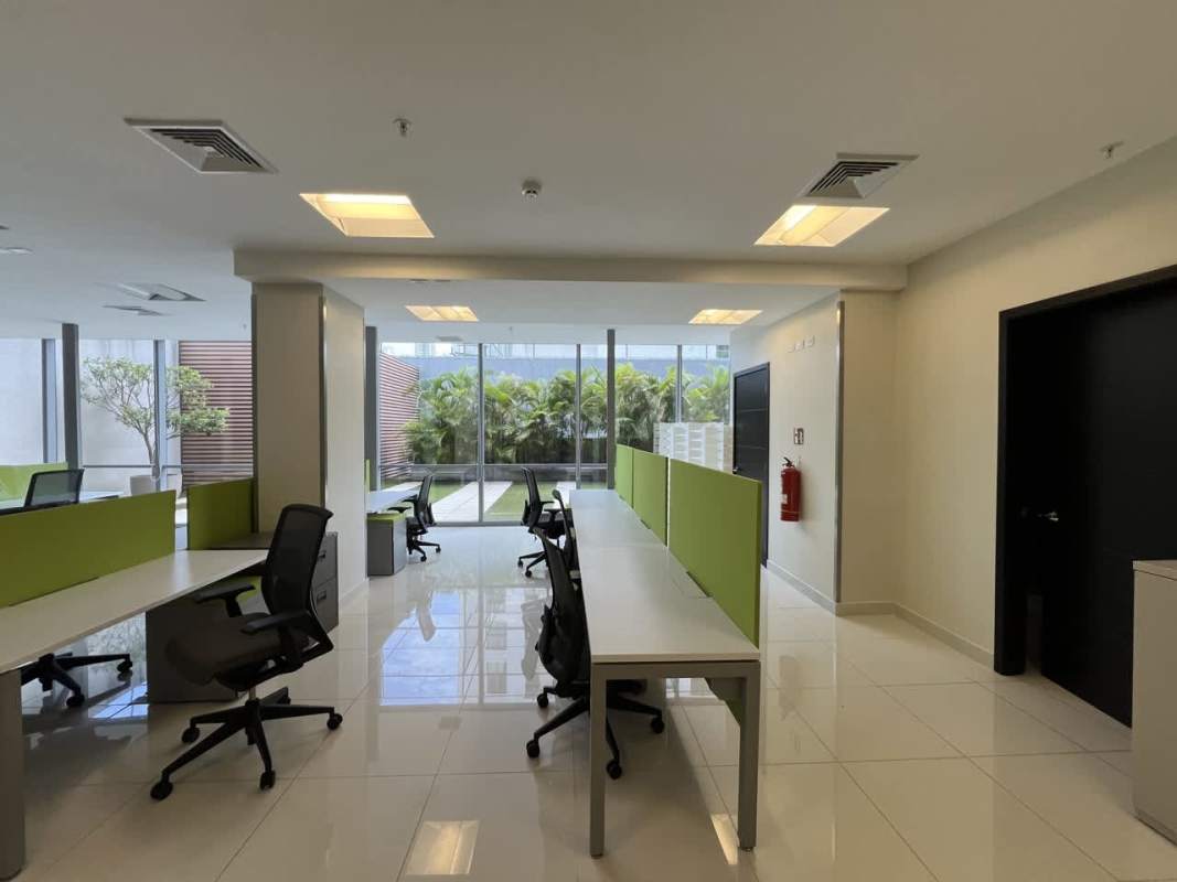 Modern open-plan office with natural light, garden views, and green partition panels at Plaza Boulevard del Este