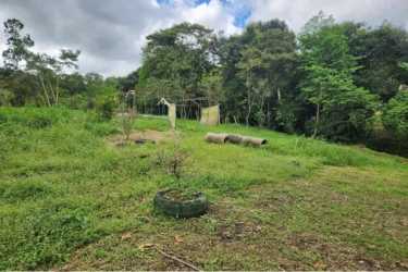 Rich tropical vegetation with spacious fertile garden plots in Volcan Chiriqui Panama farm