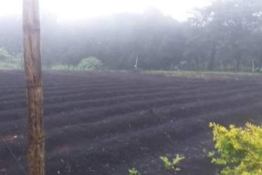 Dark rich soil plowed field perfect for agriculture with utility access in Volcan Alto Boquete