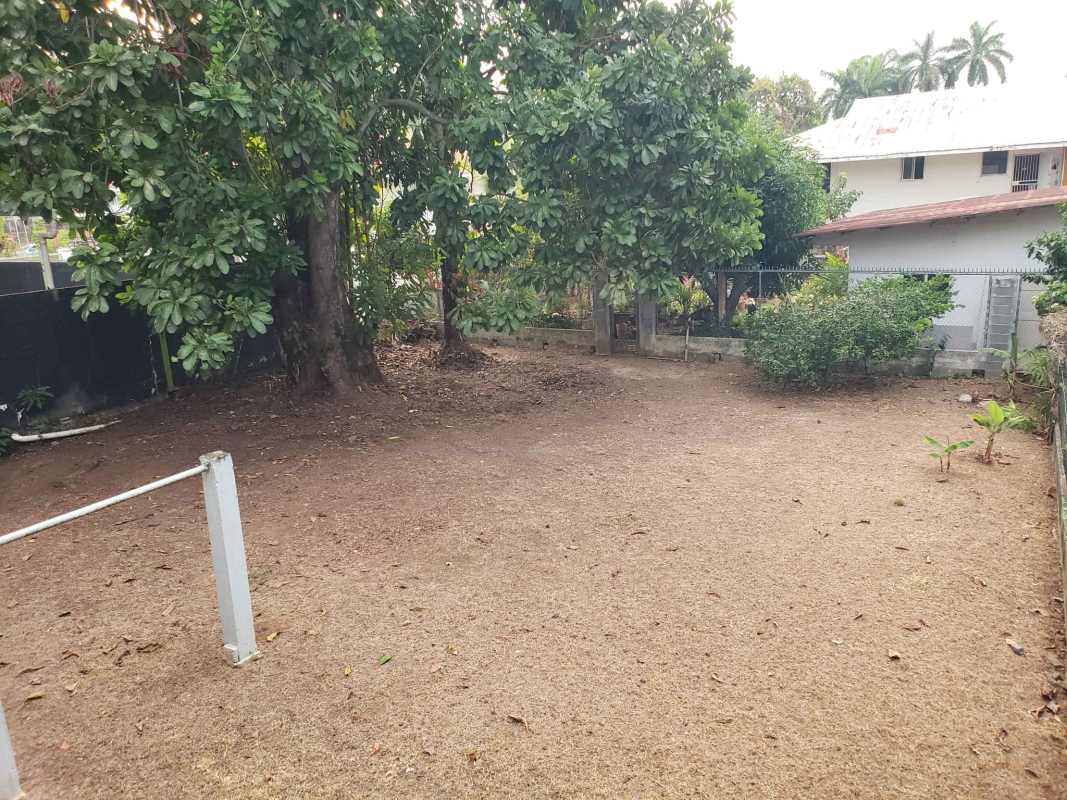 Spacious fenced backyard large trees shaded lawn duplex rental Balboa Panama