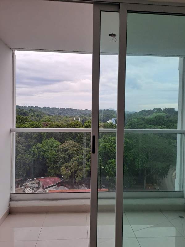 Balcony with glass railing overlooking trees and green area PH Coral Plaza Panama