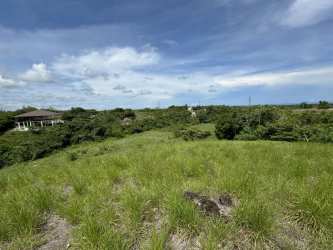Nature-surrounded large flat lot in Valle de Corona gated community for sale
