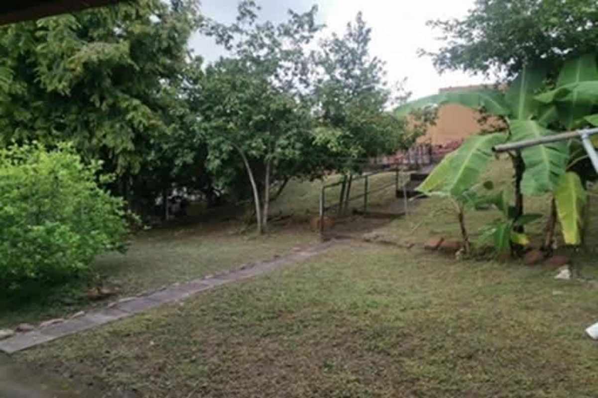 Garden with banana trees covered patio mature landscaping Betania house Panama City