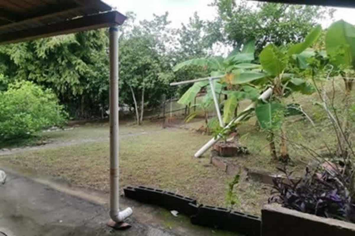 Large natural backyard mature trees sloped yard Betania Panama house