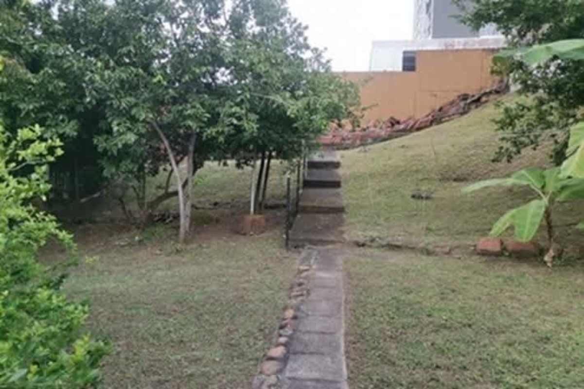 Outdoor backyard area with stone steps garden greenery Betania Panama City